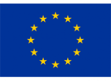 Flaga-UE