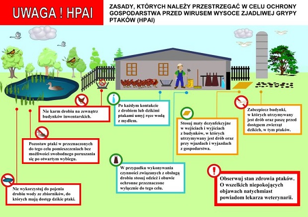 HPAI bioasekuracja ulotka informacyjna 002