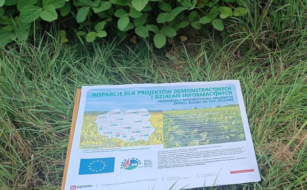 wsparcie projektu białkowego www