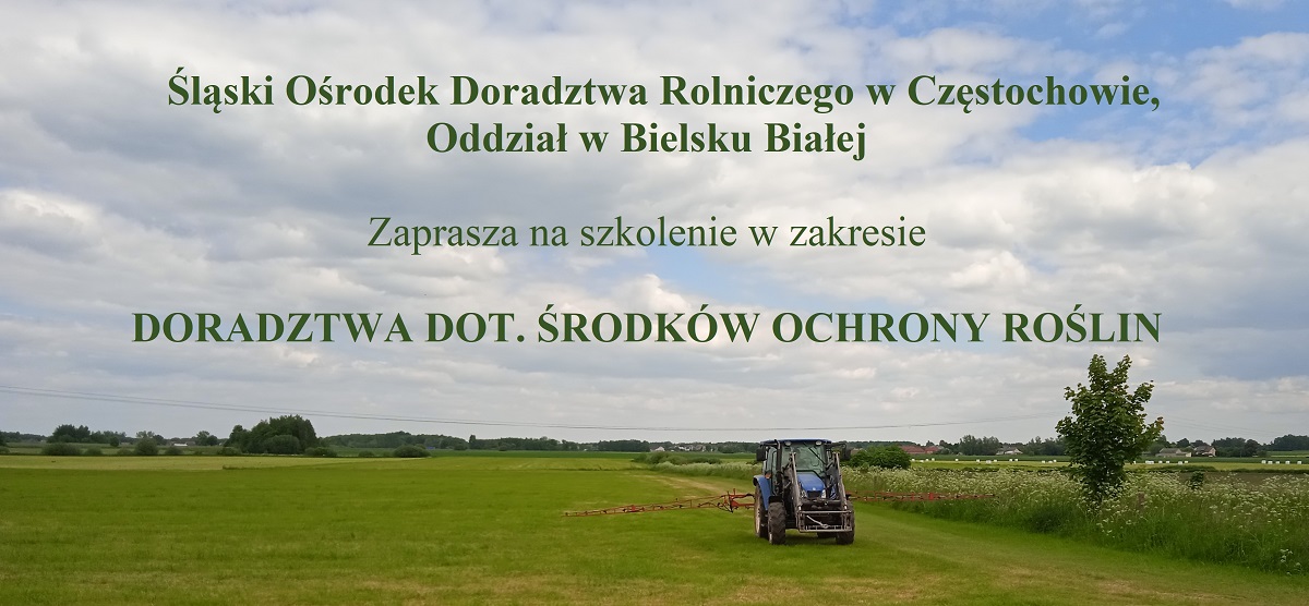 Szkolenia z doradztwa ŚOR