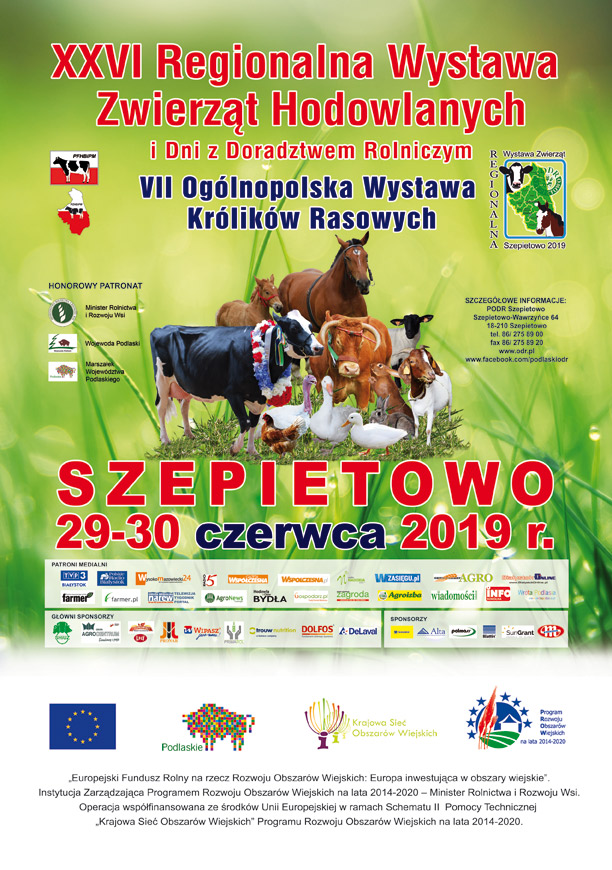 PLAKAT2019 a4 WWW 002