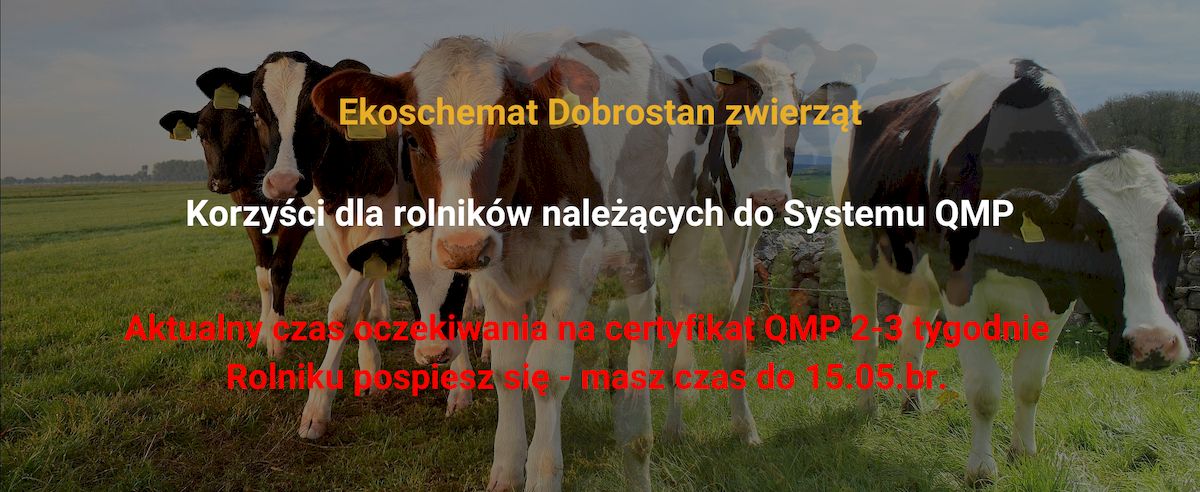 ODR treść QMP na stronę główną aktualności w2