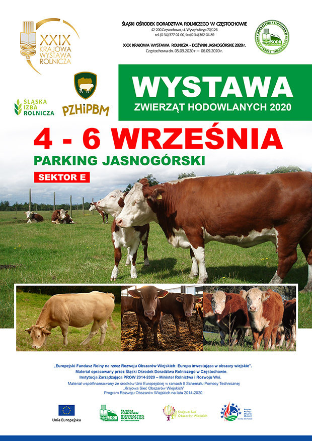 plakat wystawa zwierząt