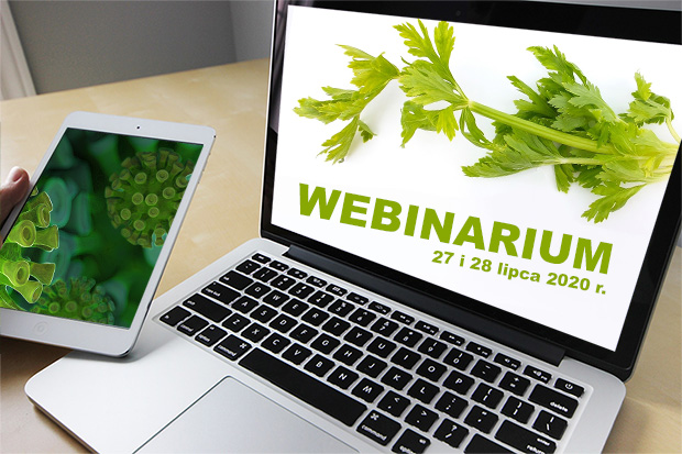 webinarium sodr