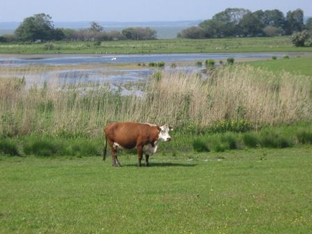 Dania i Szwecja 2011 125