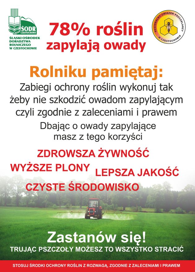 plakat zapylacze strona