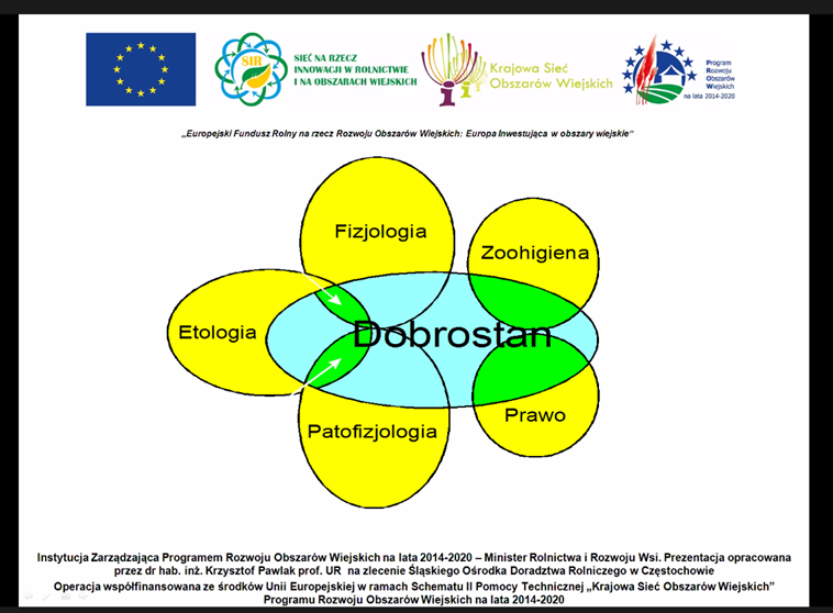 dobrostan sir do sprawozdania1