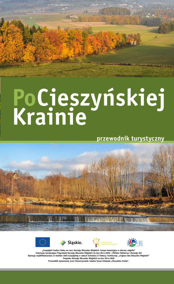 przewodnik