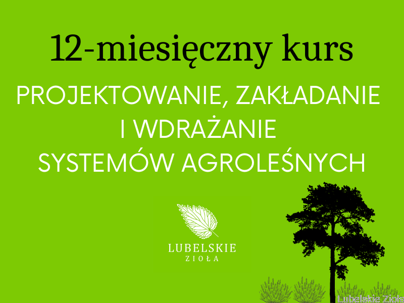 Kursyszkolenia grafiki