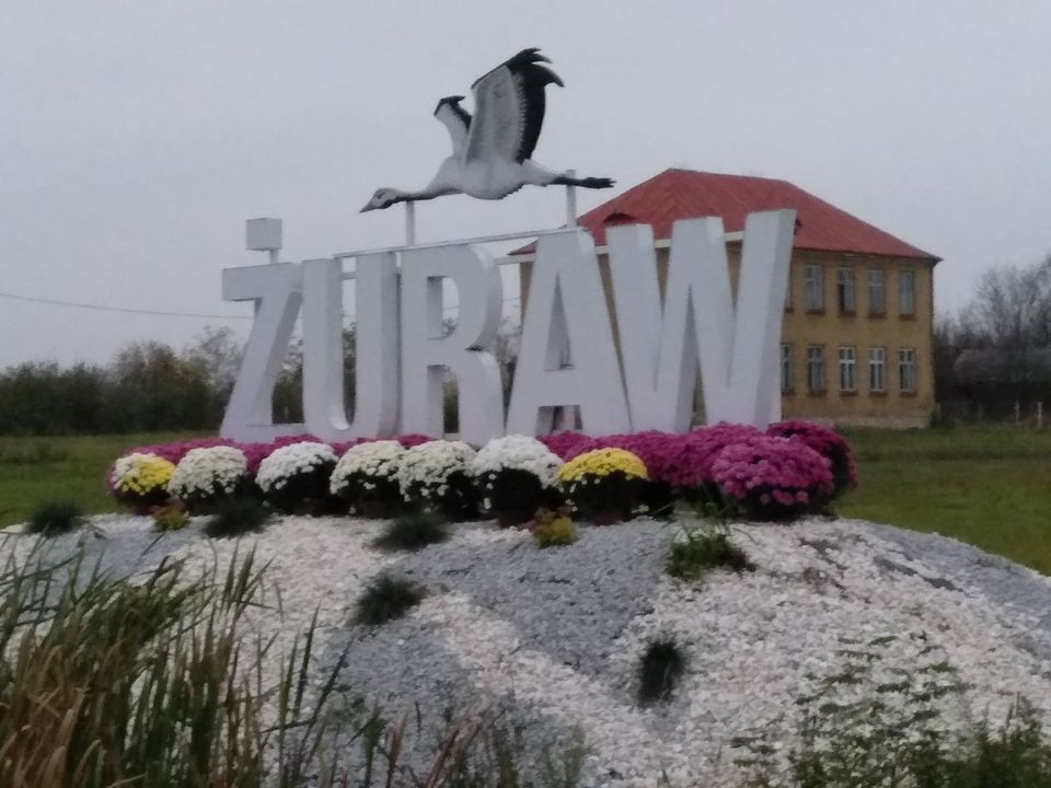 Zuraw