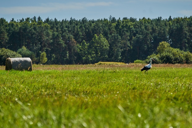 Wieś Fot. Darek Golik 002