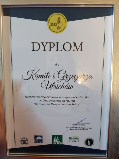 dyplom kamila