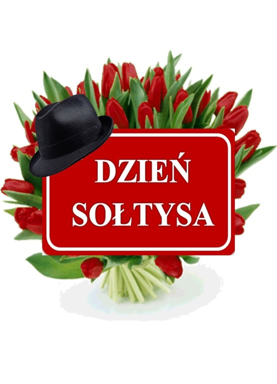 dziensoltysa