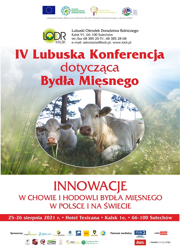 2021 rok IV konferencja PLAKAT 002