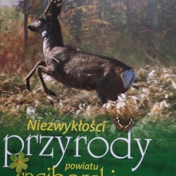 niezwyklosci przyrody album okladka midi 250