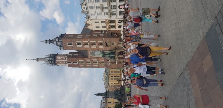 rynek